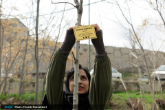 آیین کاشت نهال به یاد شهدای مدافع سلامت