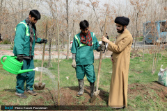 آیین کاشت نهال به یاد شهدای مدافع سلامت