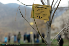 آیین کاشت نهال به یاد شهدای مدافع سلامت