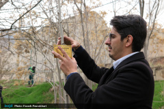 آیین کاشت نهال به یاد شهدای مدافع سلامت