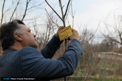 آیین کاشت نهال به یاد شهدای مدافع سلامت