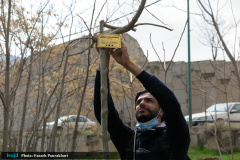 آیین کاشت نهال به یاد شهدای مدافع سلامت