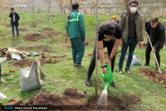 آیین کاشت نهال به یاد شهدای مدافع سلامت