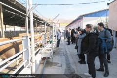 اولین دوره اردوهای مهرواره "فن فرهنگ" ویژه نودانشجویان دانشگاه های تهران