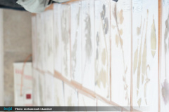 اولین دوره اردوهای مهرواره "فن فرهنگ" ویژه نودانشجویان دانشگاه های تهران