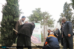 کاشت نهال در دانشگاه‌های هنر و تهران همزمان با روز درخت کاری